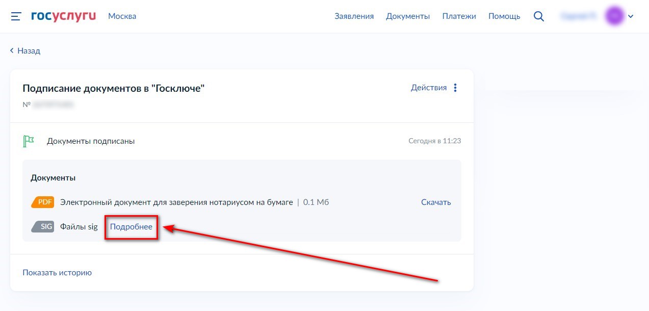 Файл формата sig госуслуги